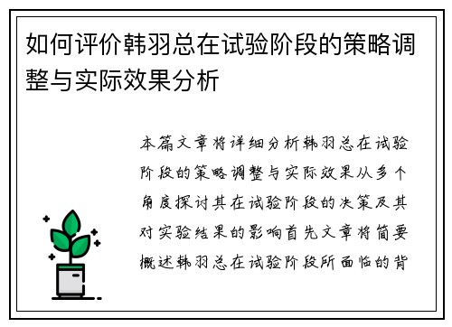 如何评价韩羽总在试验阶段的策略调整与实际效果分析