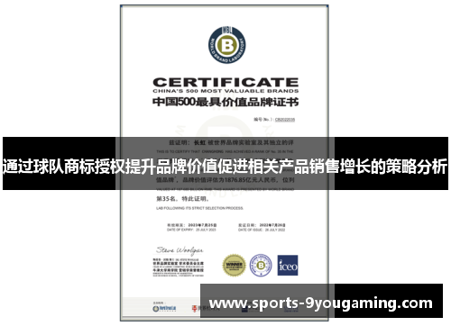 通过球队商标授权提升品牌价值促进相关产品销售增长的策略分析