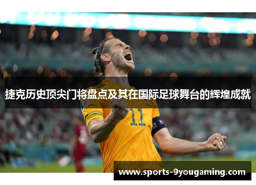 捷克历史顶尖门将盘点及其在国际足球舞台的辉煌成就